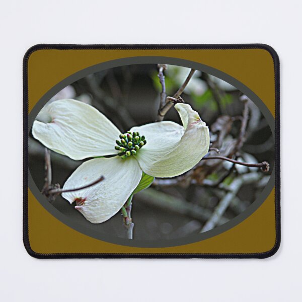 Item preview, Dogwood Bloom Photograph designed and sold by RedLeafPine.