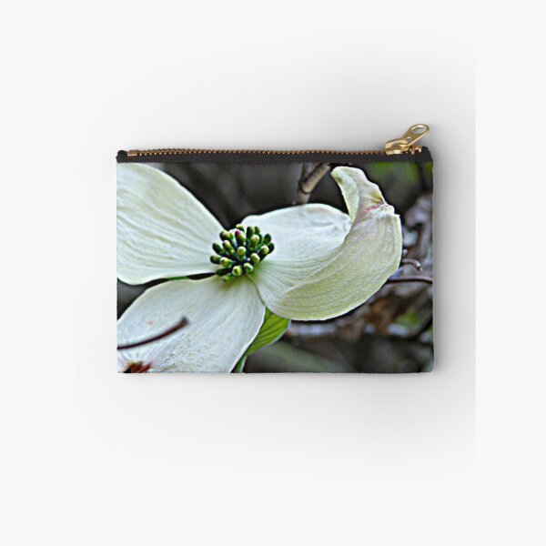 Item preview, Dogwood Bloom Photograph designed and sold by RedLeafPine.