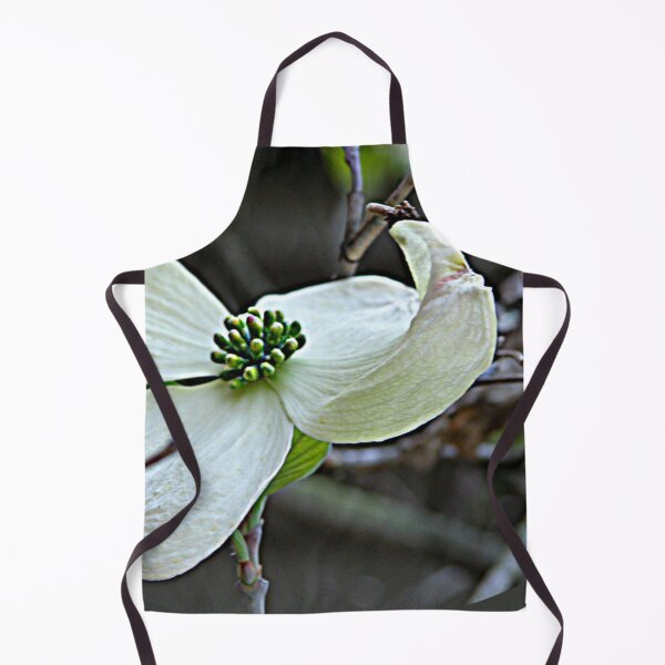 Item preview, Dogwood Bloom Photograph designed and sold by RedLeafPine.
