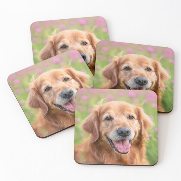 Item preview, Golden retriever pet dog photography, smile on his face, portrait designed and sold by PictureUp.