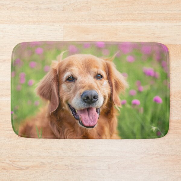 Item preview, Golden retriever pet dog photography, smile on his face, portrait designed and sold by PictureUp.