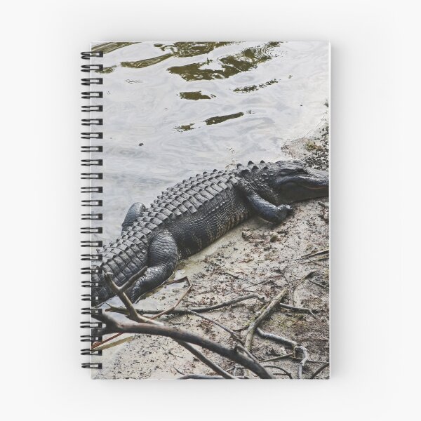 Item preview, Eager Gator designed and sold by Michiale.