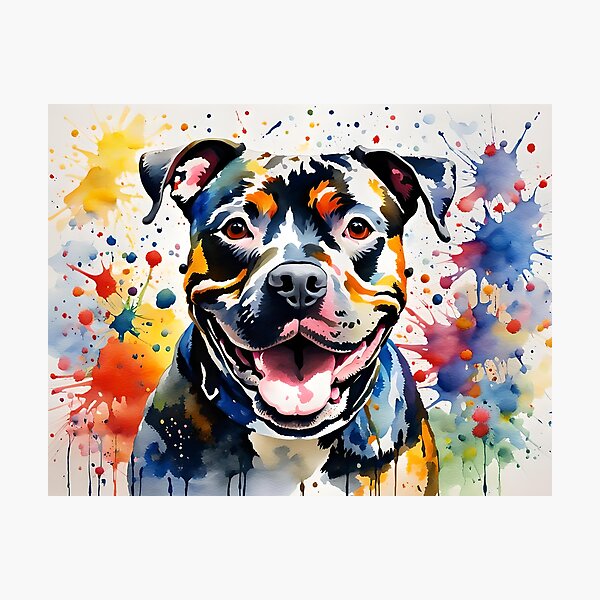 Staffordshire Bull Terrier Dog, Colourful Watercolour style Photographic Print