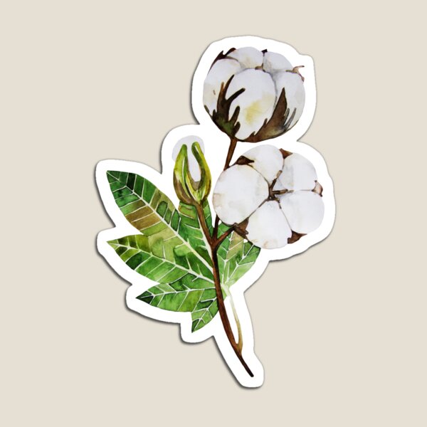 Aperçu de l'œuvre Branche de coton aquarelle créée et vendue par Ekaterina Glazkova.