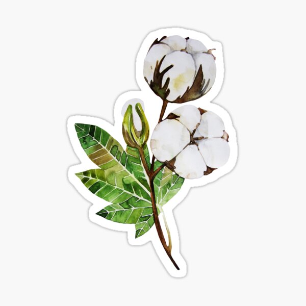 Watercolor cotton branch Sticker