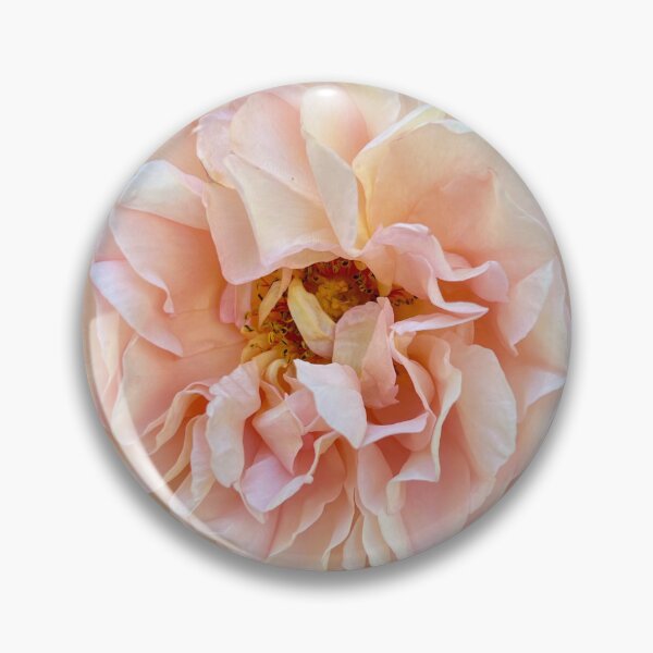 Item preview, Pale Peach Rose Photograph designed and sold by Wondersofwhimsy.