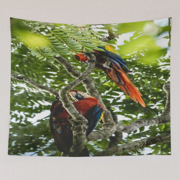 Item preview, Two parrots in a big tree designed and sold by Dreamyunicorn16.