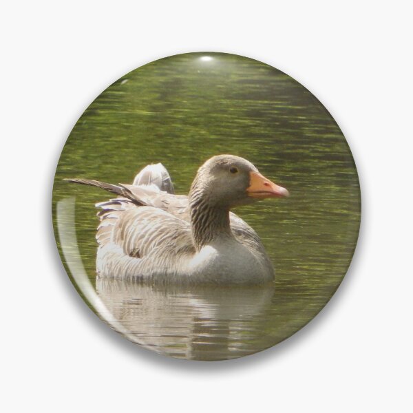 Item preview, Greylag Goose on Lake (Photo) designed and sold by mindwarp2000.