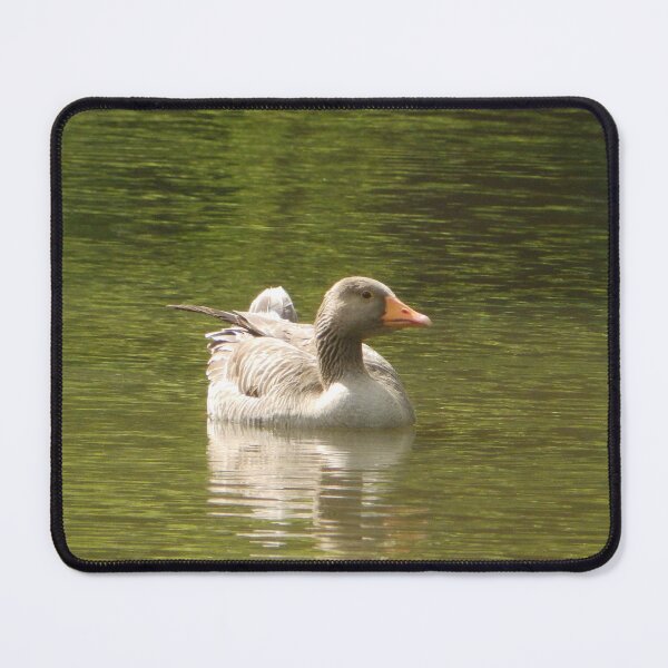 Item preview, Greylag Goose on Lake (Photo) designed and sold by mindwarp2000.