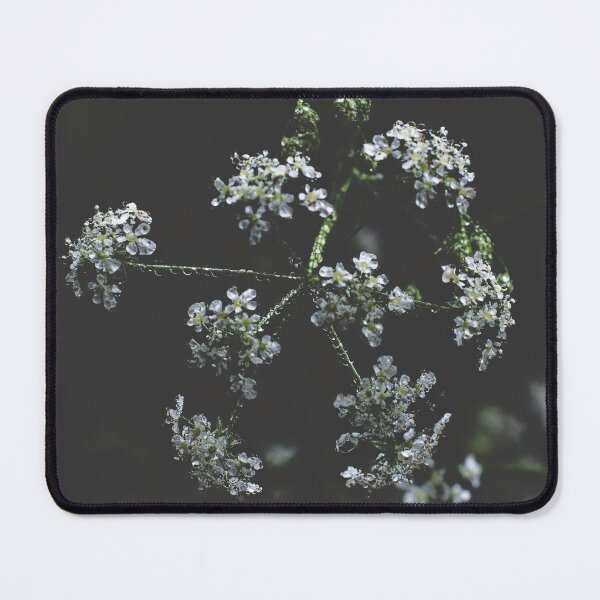 Item preview, Morning Dew designed and sold by ElderIslesPress.