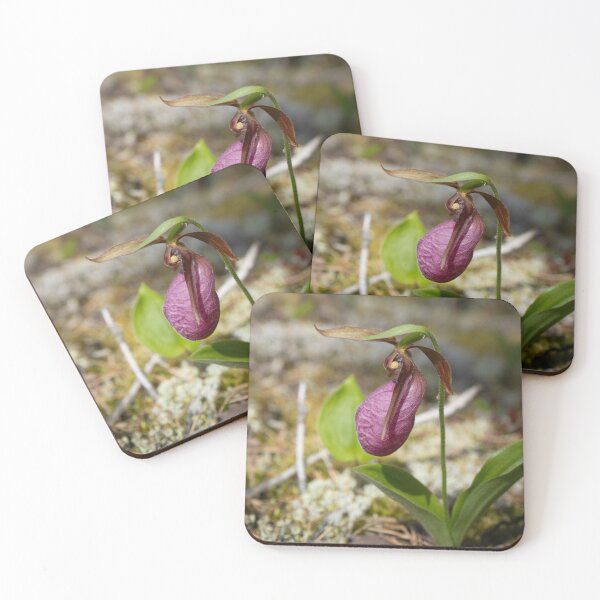 Item preview, Delicate Lady Slipper designed and sold by Julie Navitka.