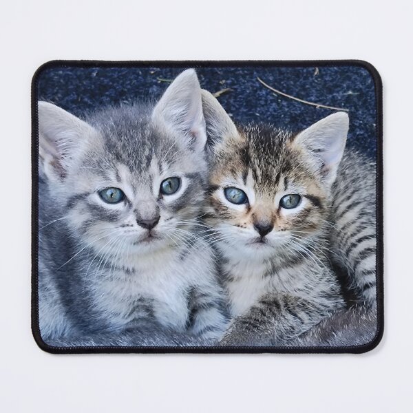 Item preview, Cute Kittens designed and sold by Chanash.