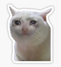 Sad Cat Meme Sticker