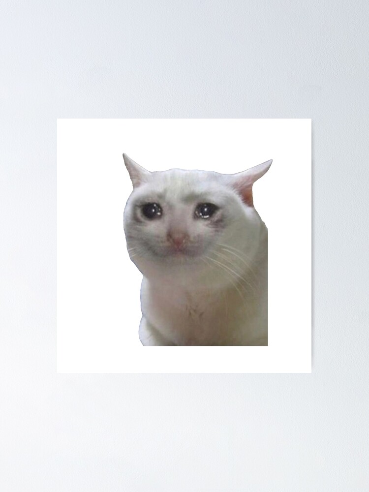 Sad Cat Meme