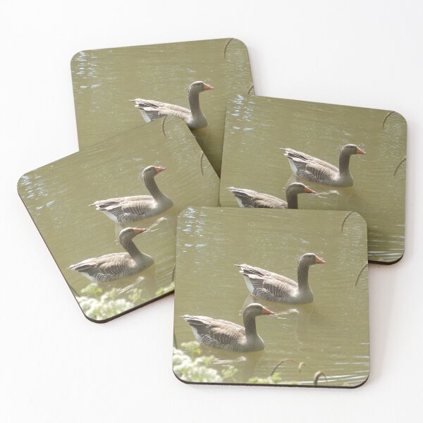 Item preview, Greylag Geese on Lake (Photo) designed and sold by mindwarp2000.