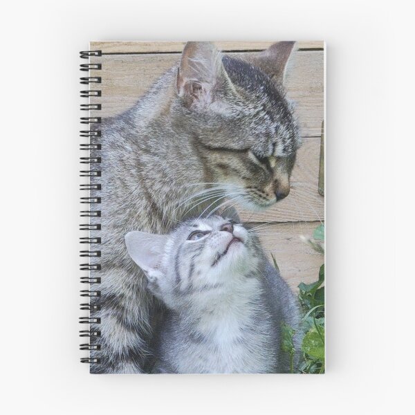 Item preview, Mother and kitten designed and sold by Chanash.