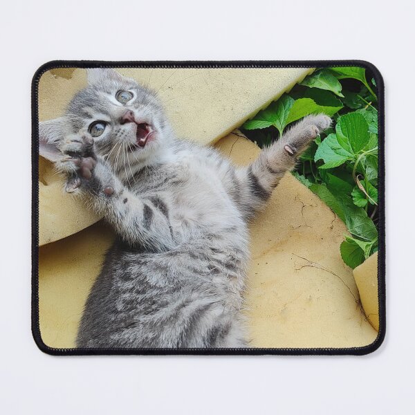 Item preview, Playful Kitten designed and sold by Chanash.