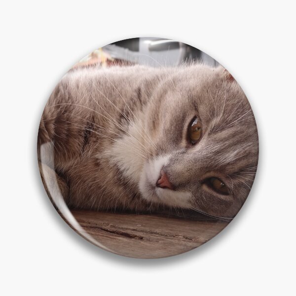 Item preview, Barn Cat designed and sold by Chanash.