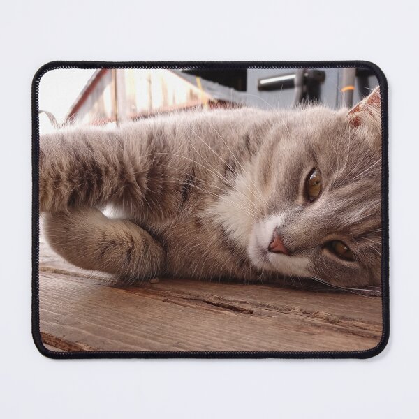 Item preview, Barn Cat designed and sold by Chanash.