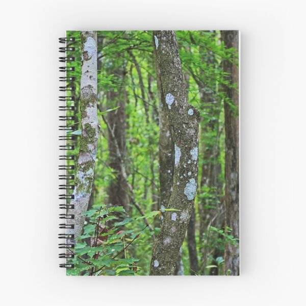 Item preview, Swamp Song designed and sold by Michiale.