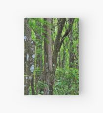 Swamp Song Hardcover Journal