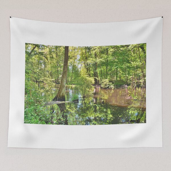 Item preview, Swamp Reflections designed and sold by LisaWootenPhoto.