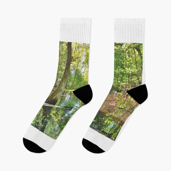 Item preview, Swamp Reflections designed and sold by LisaWootenPhoto.