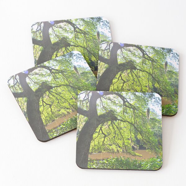 Item preview, Sunlit Tree Along The River designed and sold by LisaWootenPhoto.