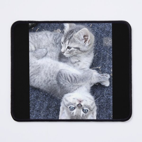 Item preview, Kittens Together designed and sold by Chanash.