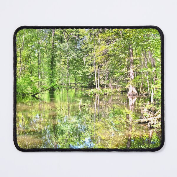 Item preview, Sunlit Swamp designed and sold by LisaWootenPhoto.