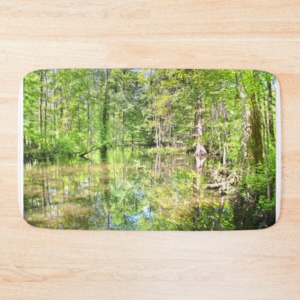 Item preview, Sunlit Swamp designed and sold by LisaWootenPhoto.