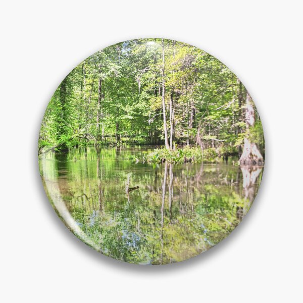 Item preview, Sunlit Swamp designed and sold by LisaWootenPhoto.