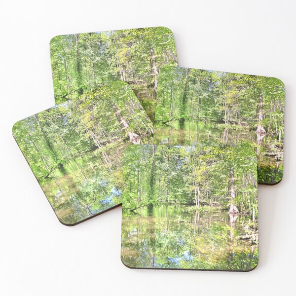 Item preview, Sunlit Swamp designed and sold by LisaWootenPhoto.