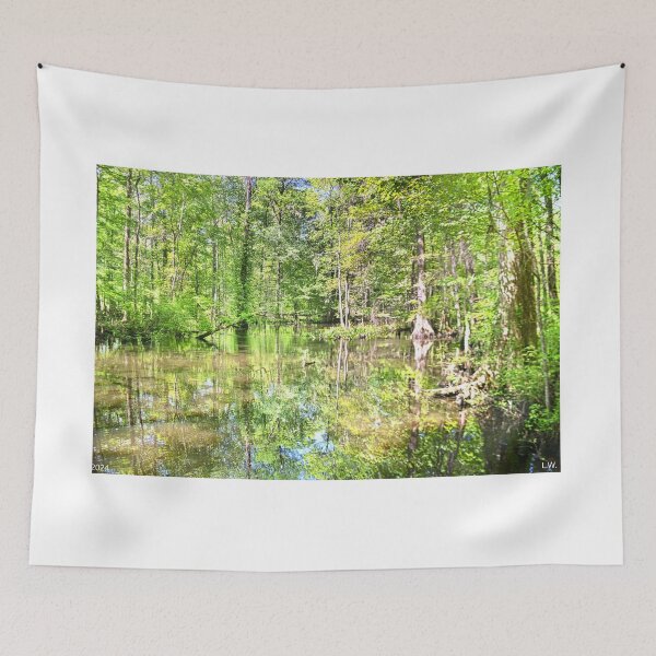Item preview, Sunlit Swamp designed and sold by LisaWootenPhoto.