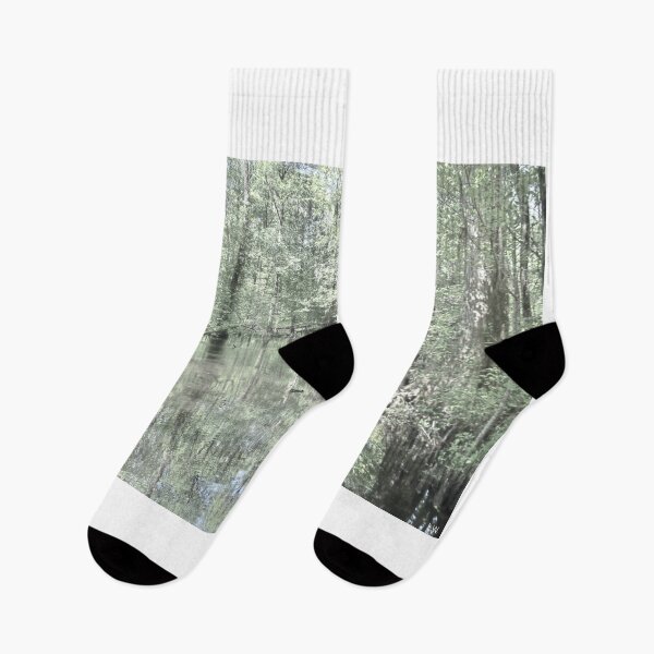 Item preview, South Carolina Swamp  designed and sold by LisaWootenPhoto.