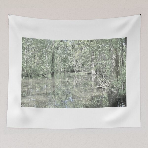 Item preview, South Carolina Swamp  designed and sold by LisaWootenPhoto.