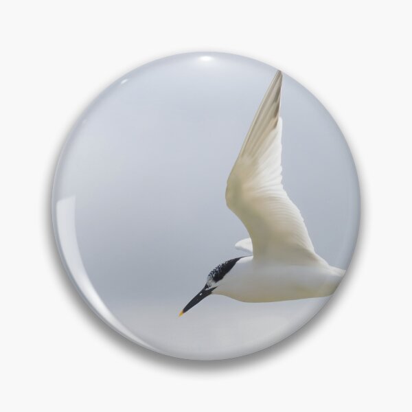 Item preview, Sandwich Tern designed and sold by LaurenTucker.
