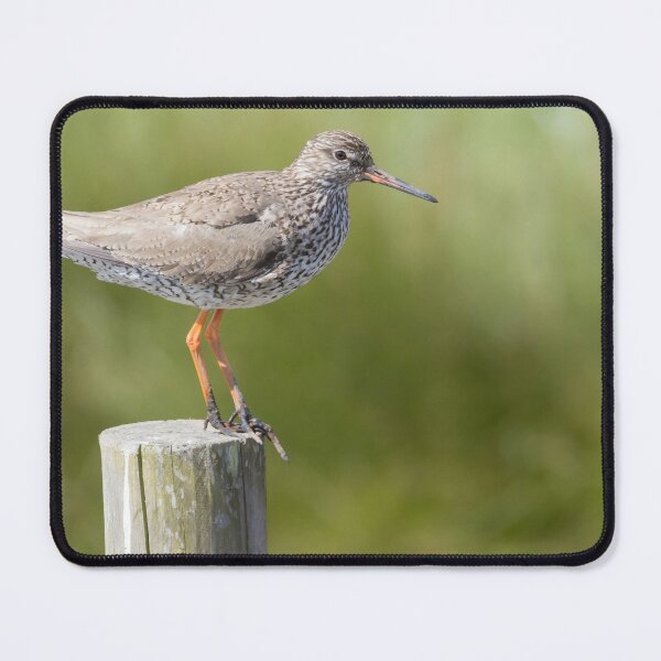 Item preview, Redshank designed and sold by LaurenTucker.