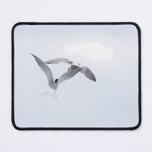 Item preview, Common Tern designed and sold by LaurenTucker.