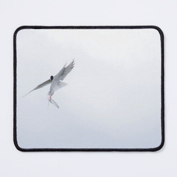 Item preview, Common Tern designed and sold by LaurenTucker.
