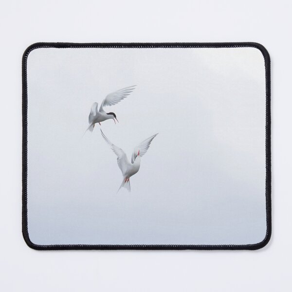 Item preview, Common Tern designed and sold by LaurenTucker.