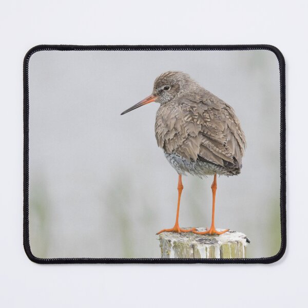Item preview, Redshank designed and sold by LaurenTucker.