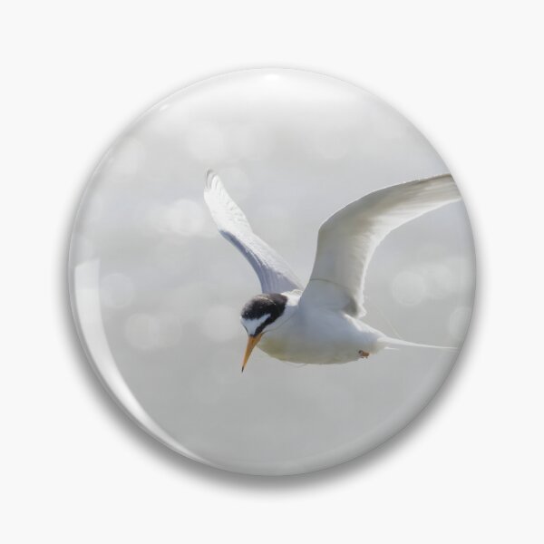 Item preview, Little Tern designed and sold by LaurenTucker.