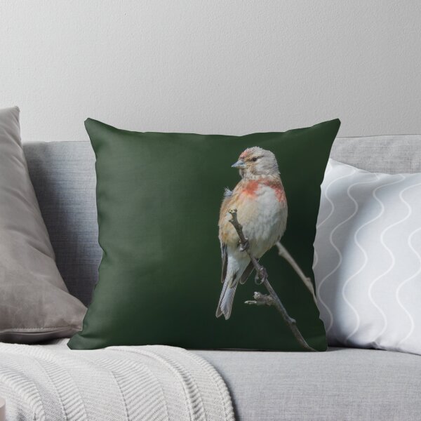 Item preview, Linnet designed and sold by LaurenTucker.