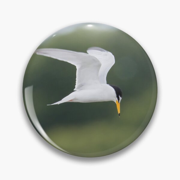 Item preview, Little Tern designed and sold by LaurenTucker.