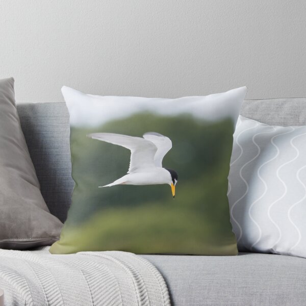 Item preview, Little Tern designed and sold by LaurenTucker.