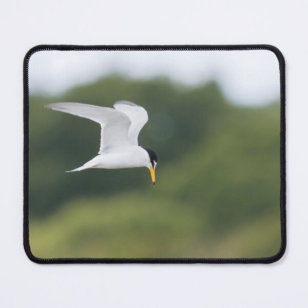 Item preview, Little Tern designed and sold by LaurenTucker.