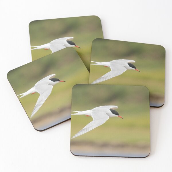 Item preview, Common Tern designed and sold by LaurenTucker.