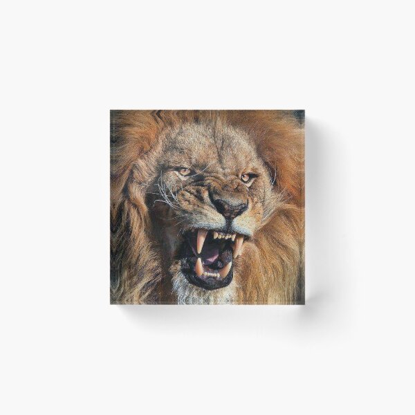 Item preview, Roaring Lion designed and sold by MorningFive.