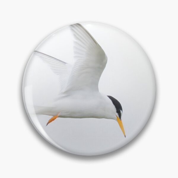 Item preview, Little Tern designed and sold by LaurenTucker.